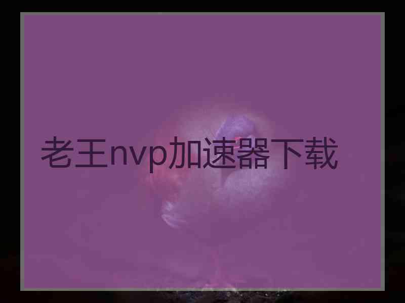 老王nvp加速器下载