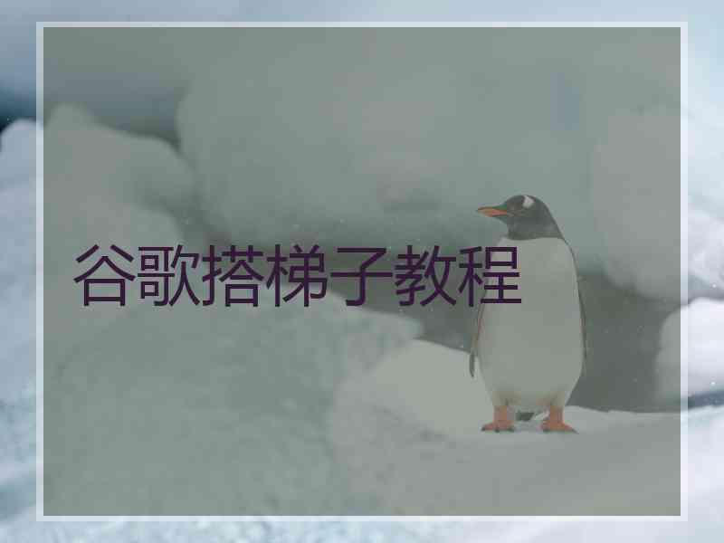 谷歌搭梯子教程