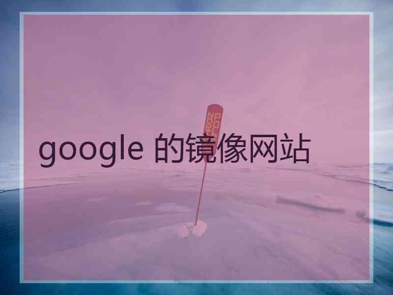 google 的镜像网站