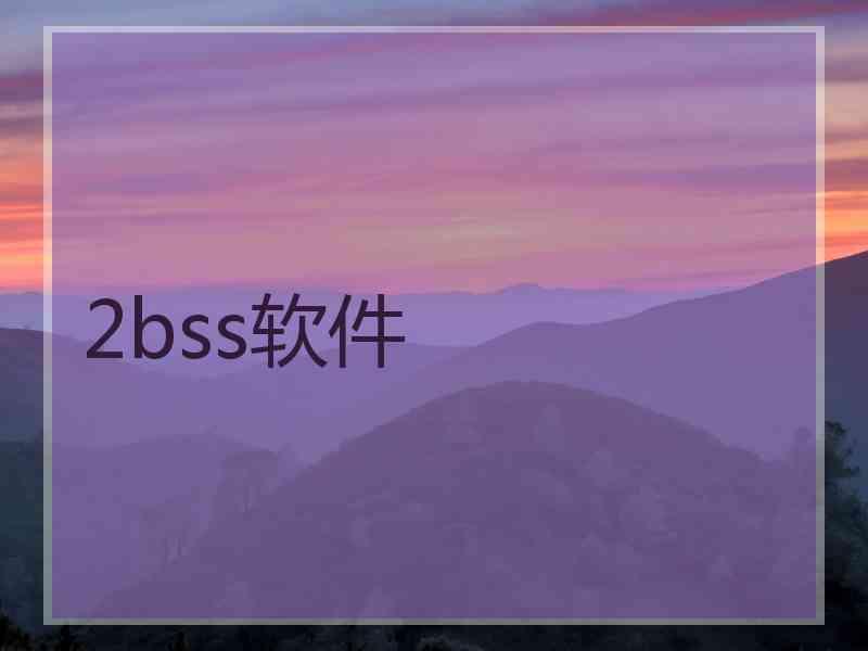 2bss软件