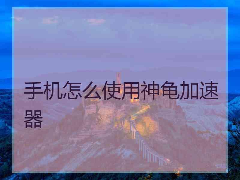 手机怎么使用神龟加速器