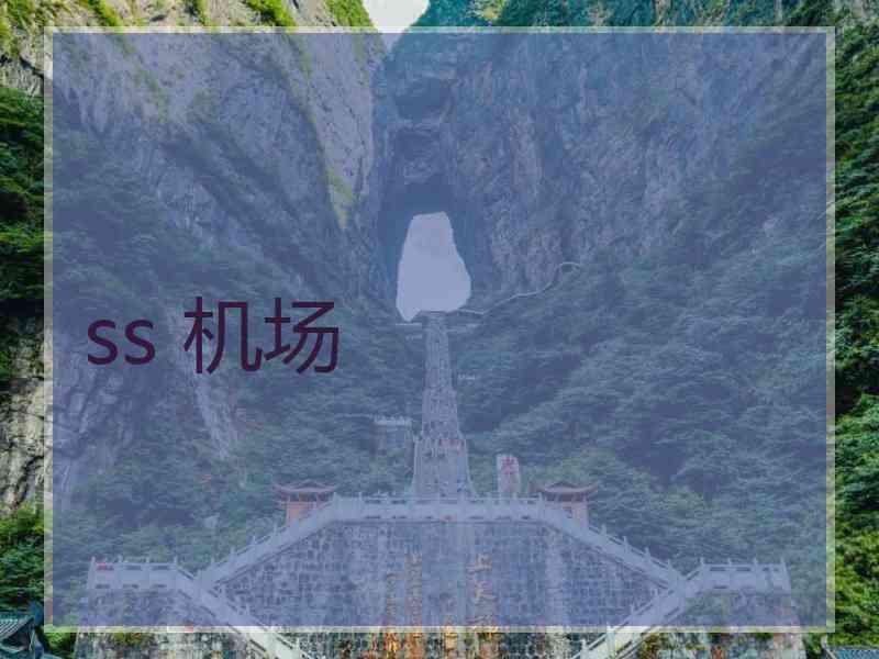 ss 机场