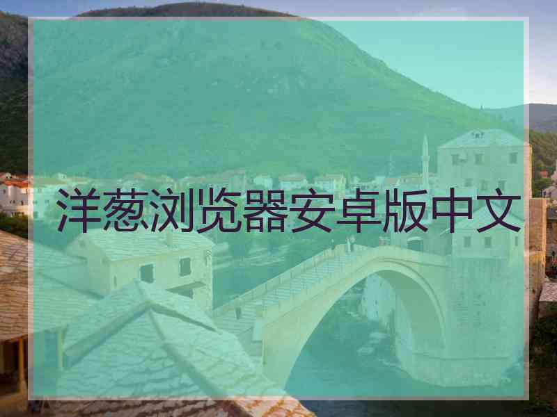 洋葱浏览器安卓版中文