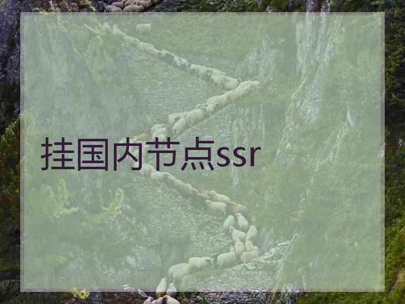 挂国内节点ssr