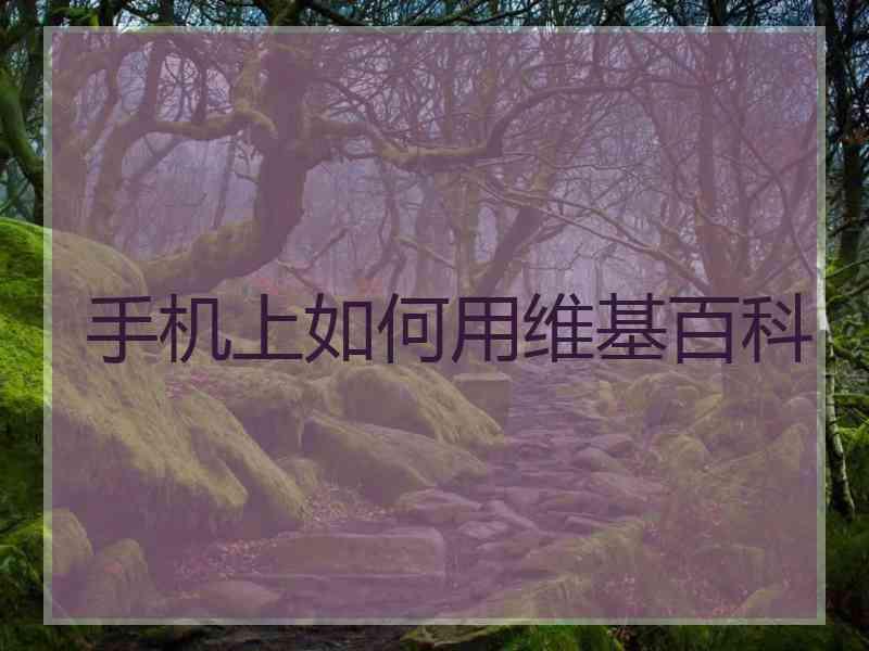 手机上如何用维基百科