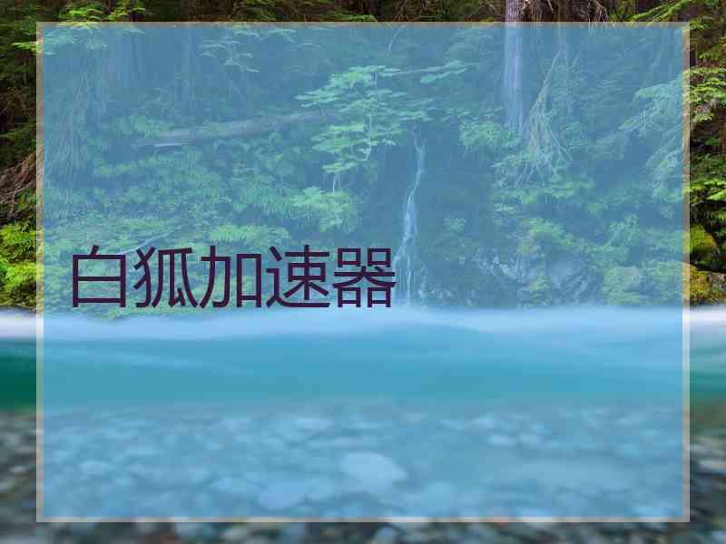 白狐加速器