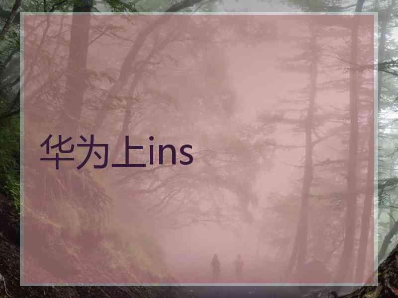 华为上ins