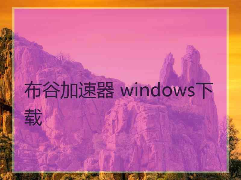 布谷加速器 windows下载