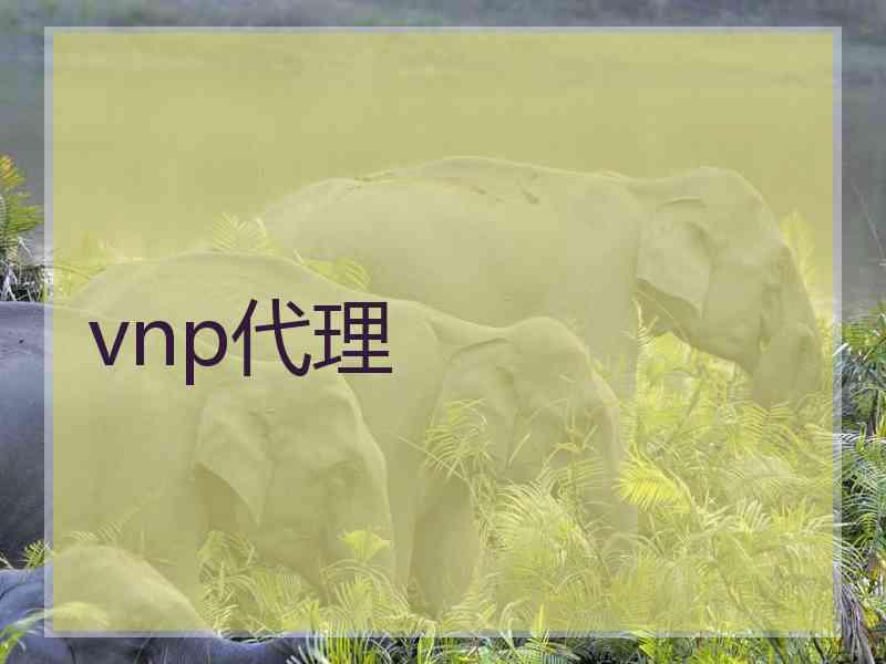 vnp代理