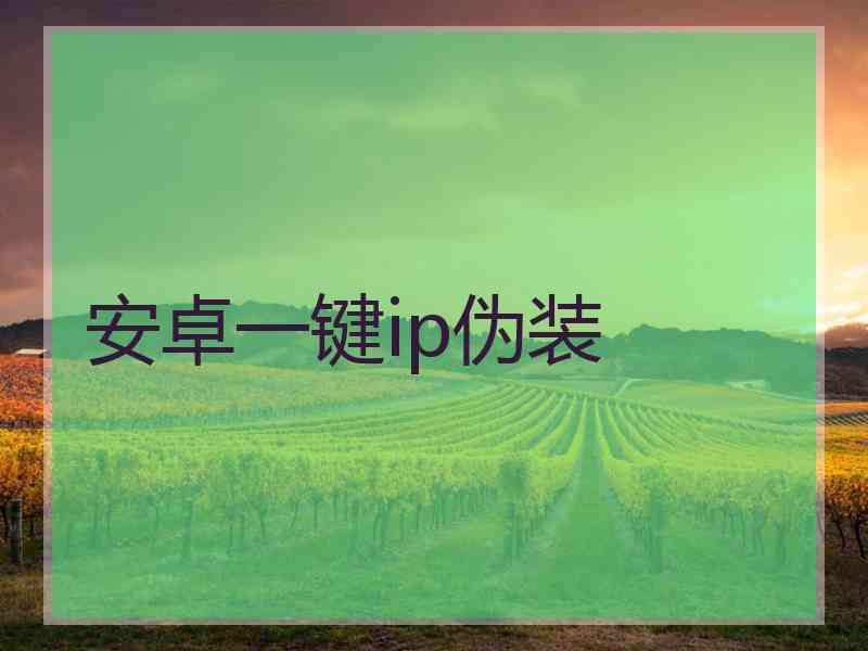安卓一键ip伪装