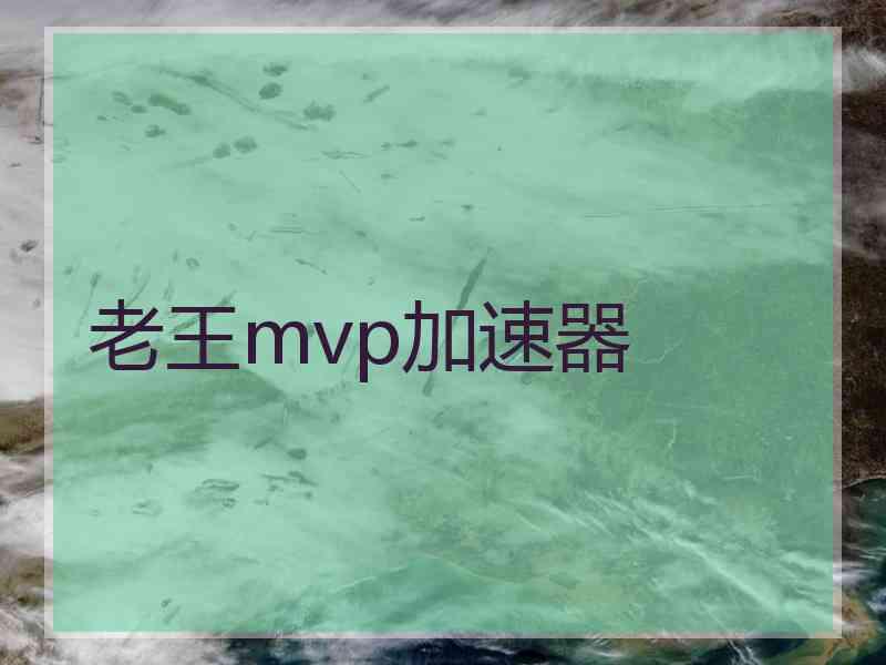 老王mvp加速器