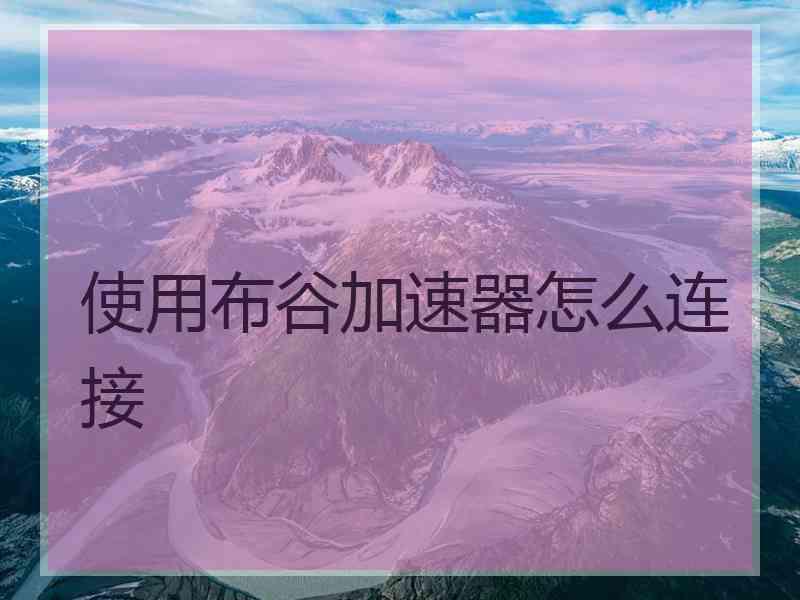 使用布谷加速器怎么连接