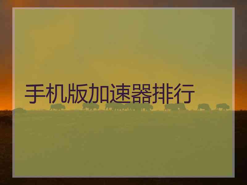手机版加速器排行