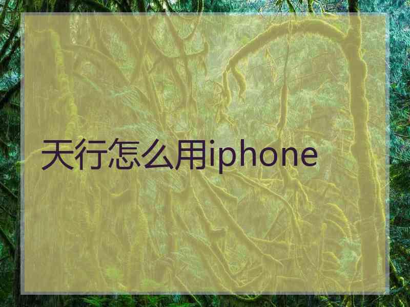 天行怎么用iphone