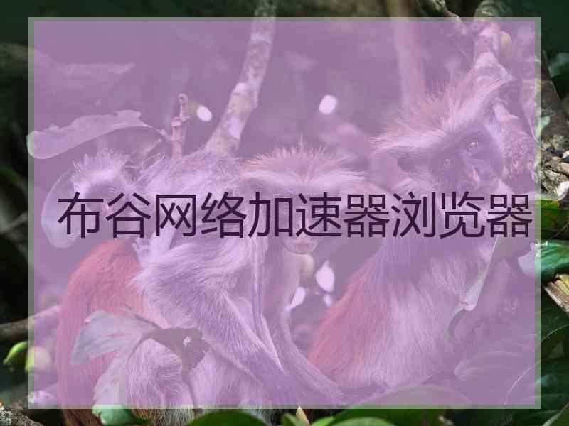 布谷网络加速器浏览器