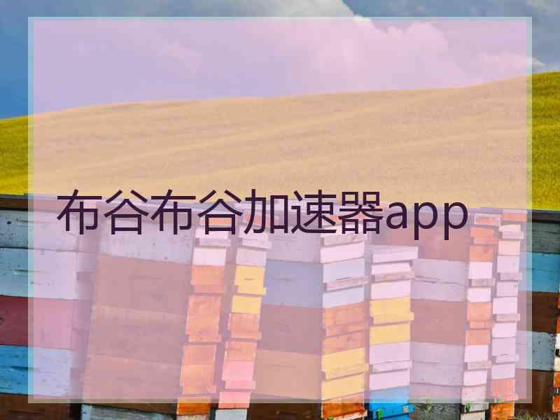 布谷布谷加速器app