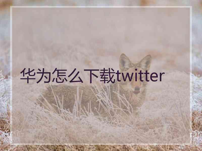 华为怎么下载twitter