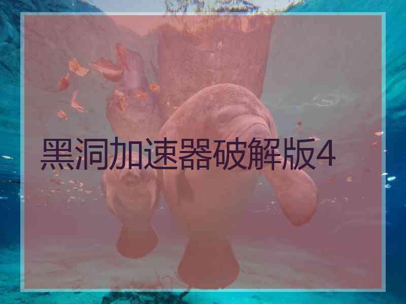 黑洞加速器破解版4