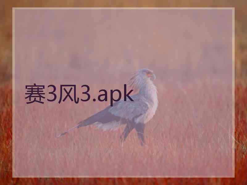 赛3风3.apk