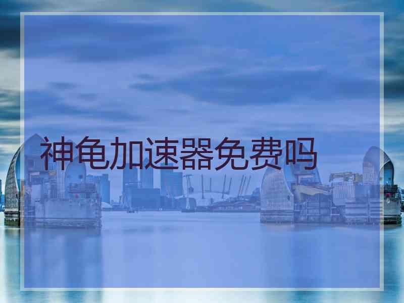 神龟加速器免费吗