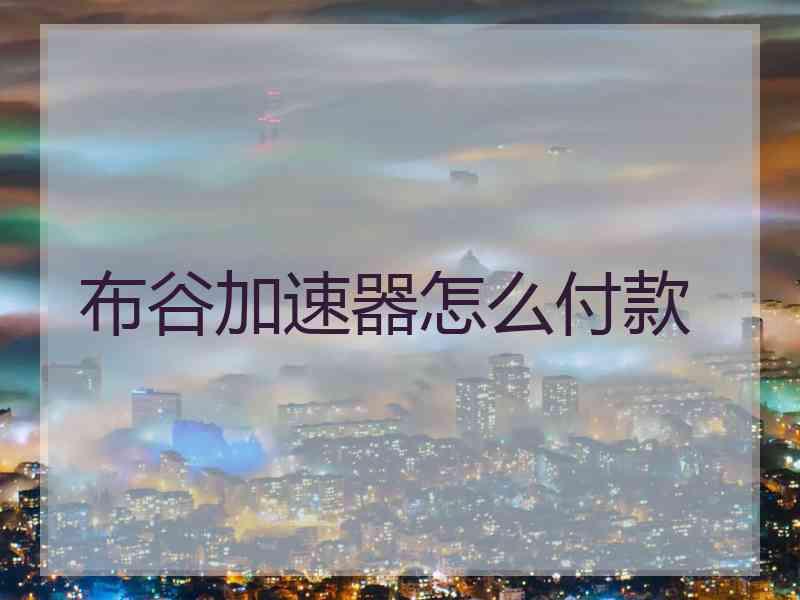 布谷加速器怎么付款