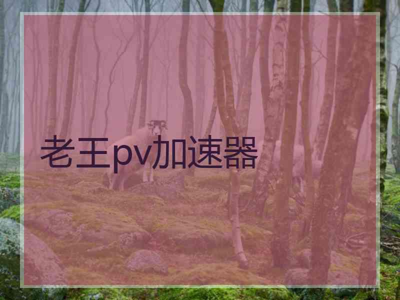 老王pv加速器