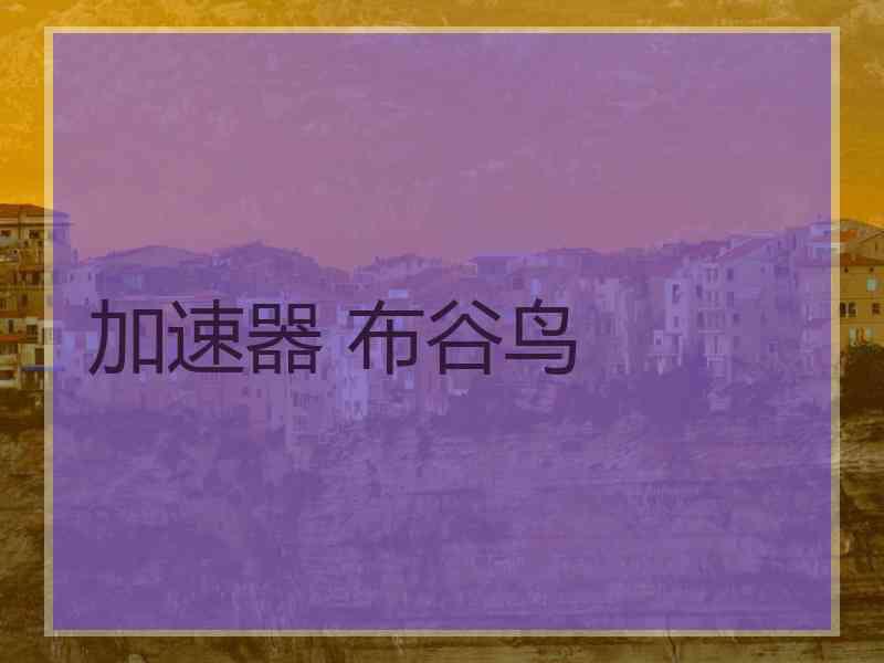 加速器 布谷鸟