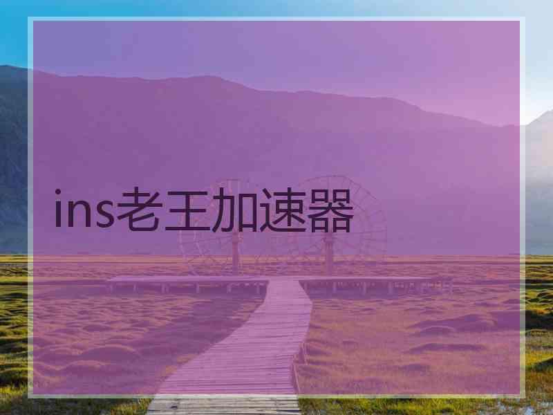 ins老王加速器
