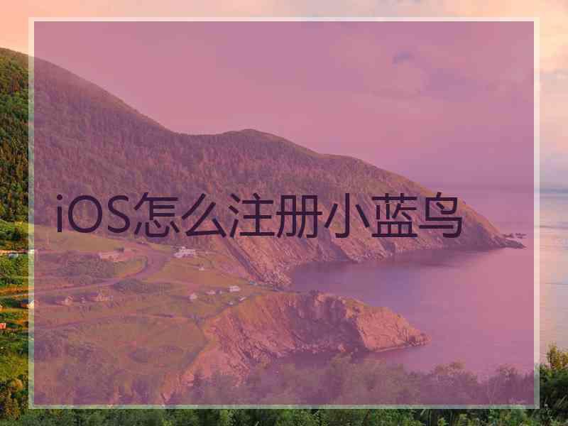 iOS怎么注册小蓝鸟