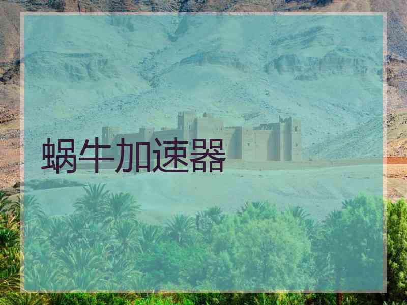 蜗牛加速器