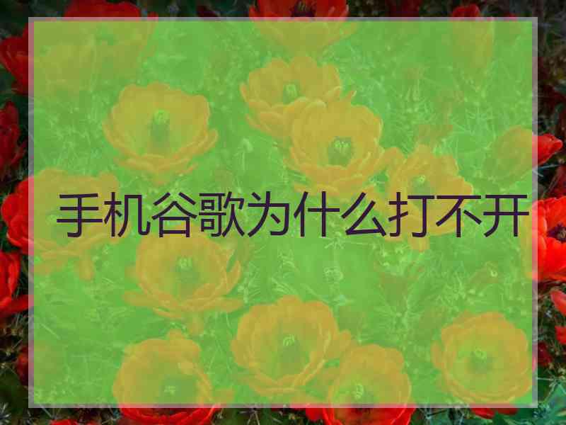 手机谷歌为什么打不开