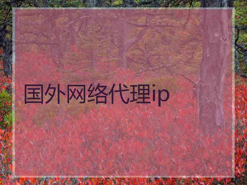 国外网络代理ip