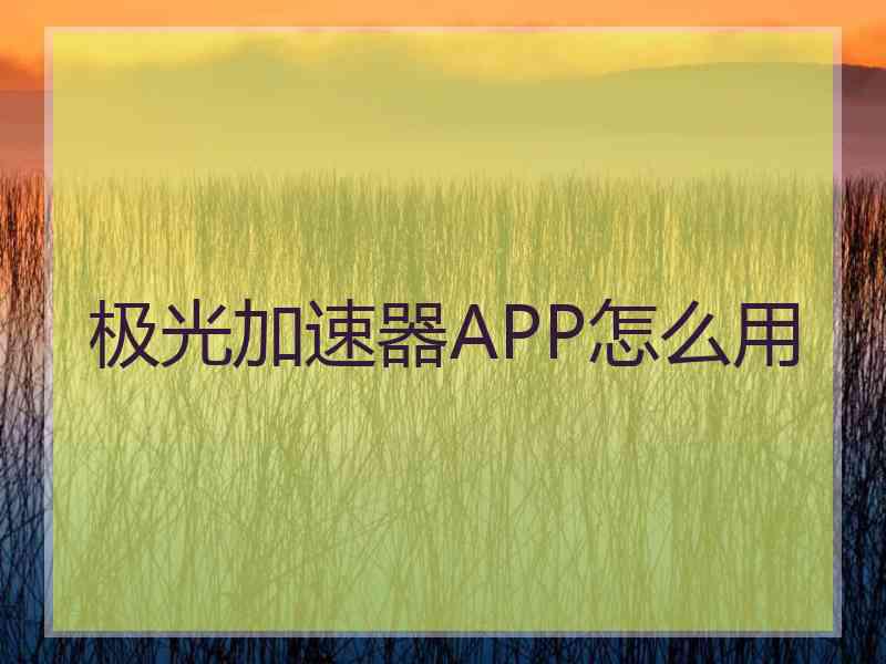 极光加速器APP怎么用