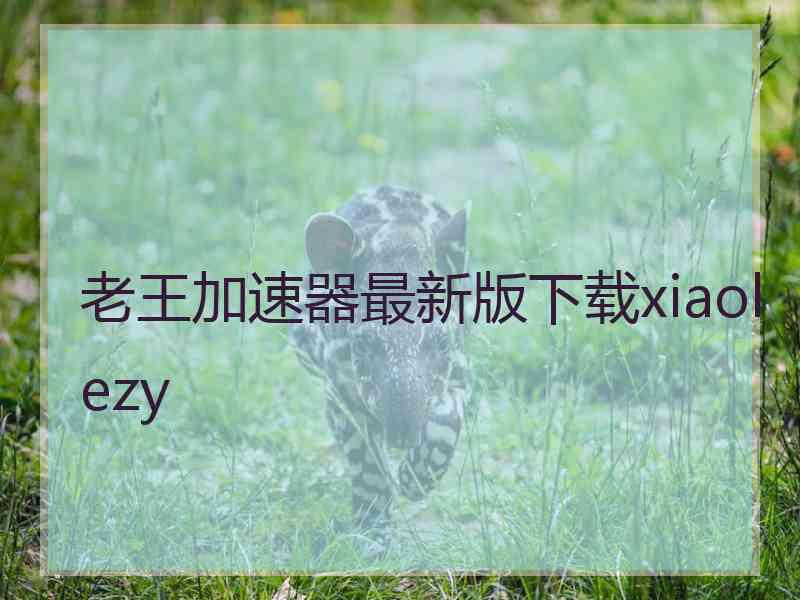 老王加速器最新版下载xiaolezy