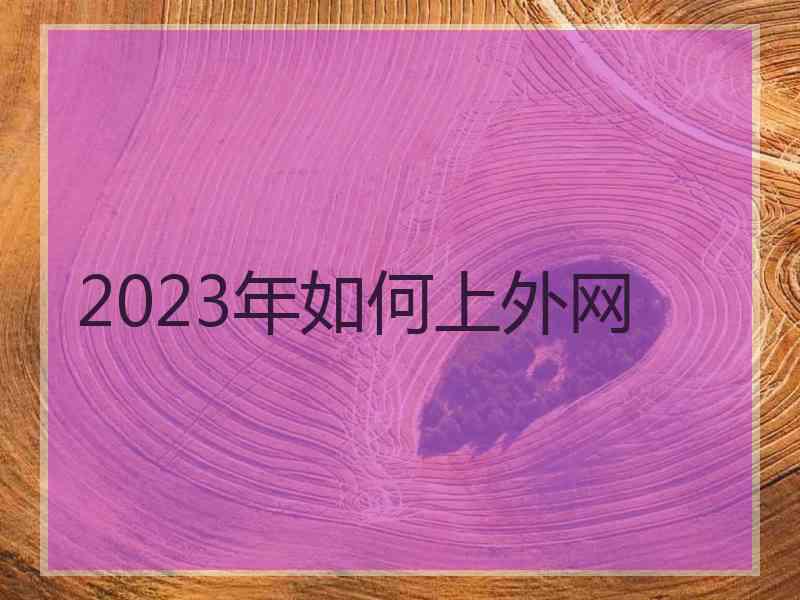 2023年如何上外网