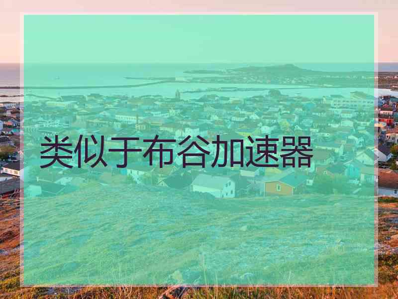 类似于布谷加速器