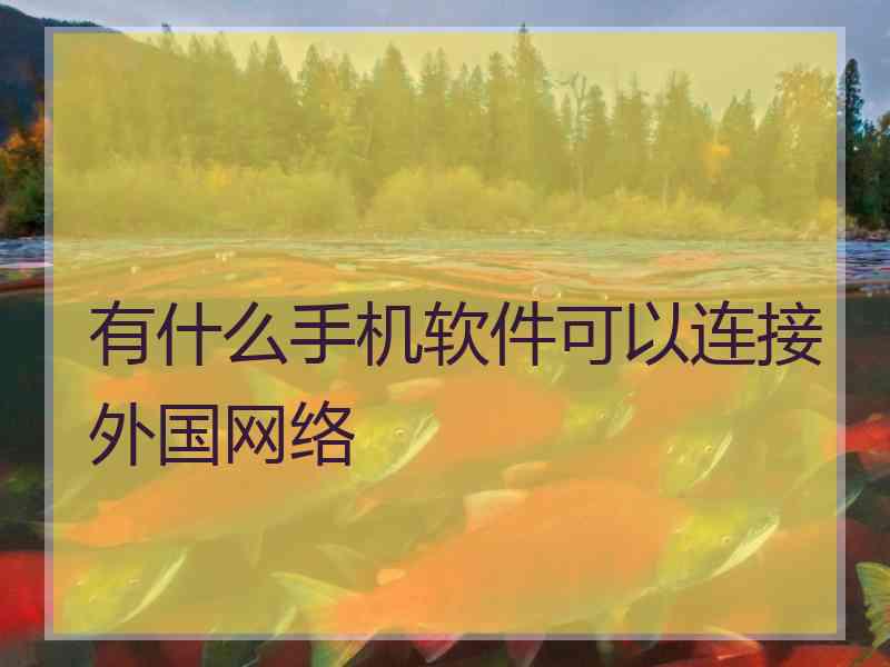 有什么手机软件可以连接外国网络