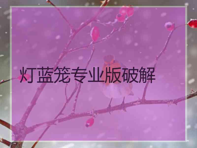 灯蓝笼专业版破解