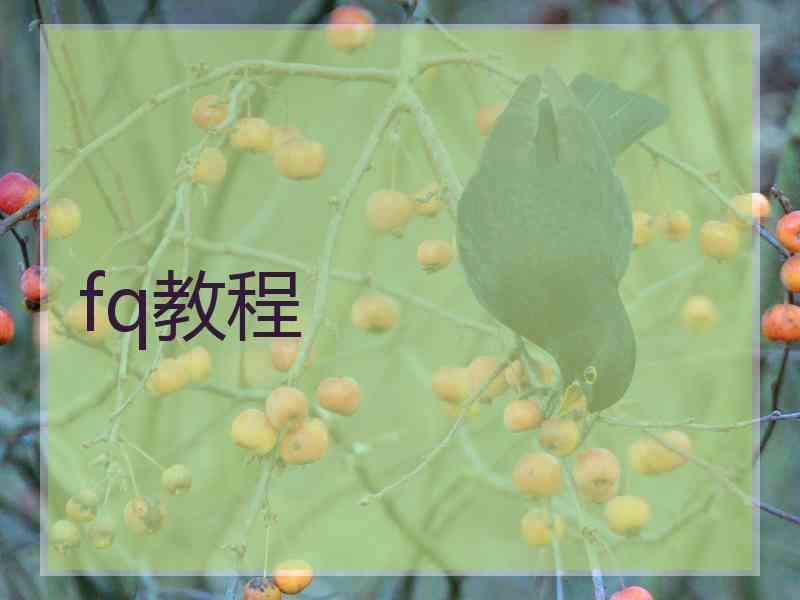 fq教程