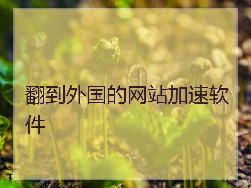 翻到外国的网站加速软件