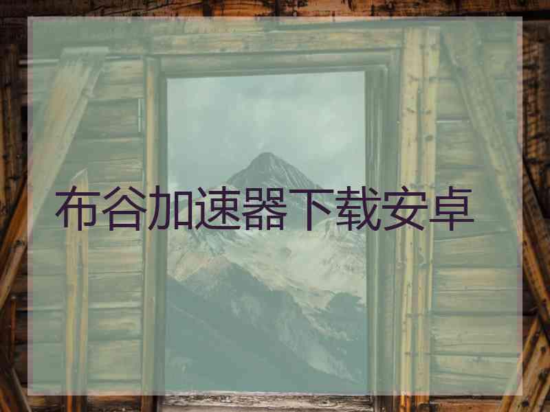 布谷加速器下载安卓