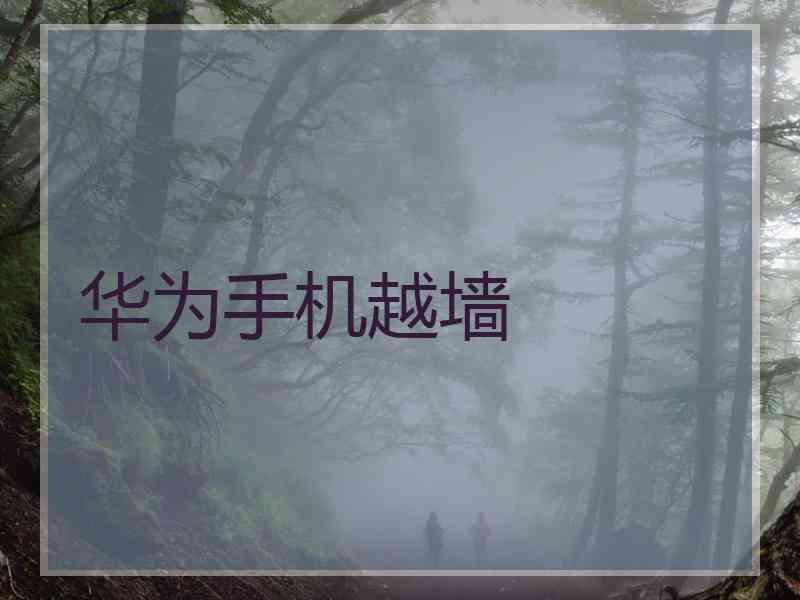 华为手机越墙