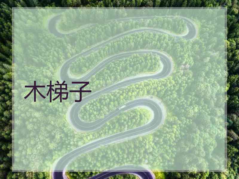 木梯子