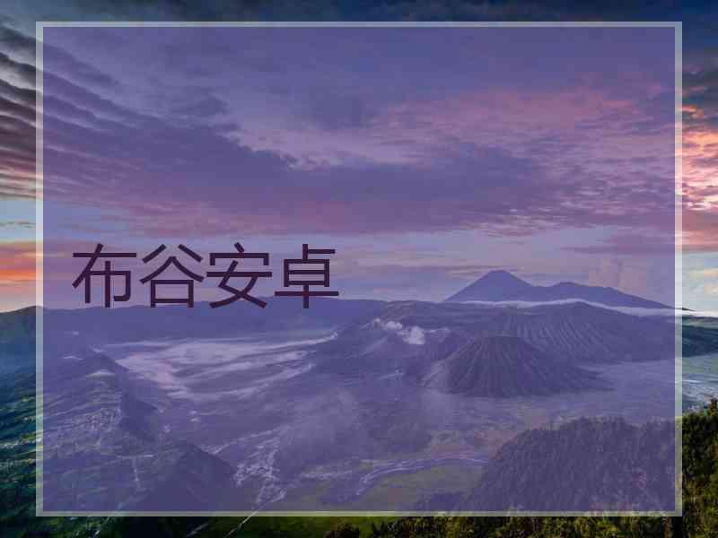 布谷安卓