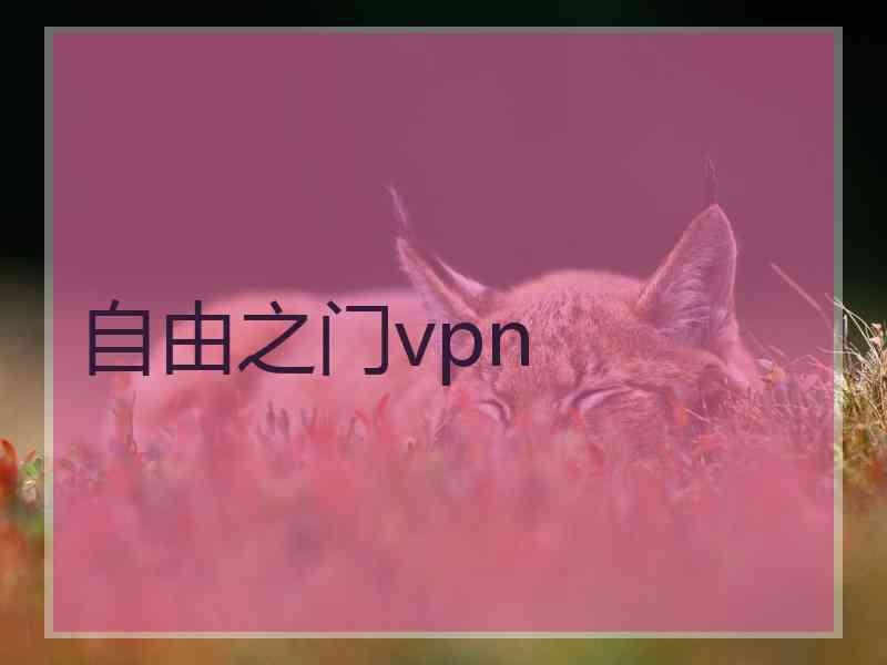 自由之门vpn