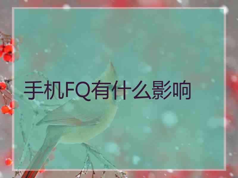 手机FQ有什么影响