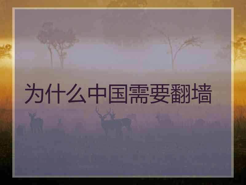 为什么中国需要翻墙