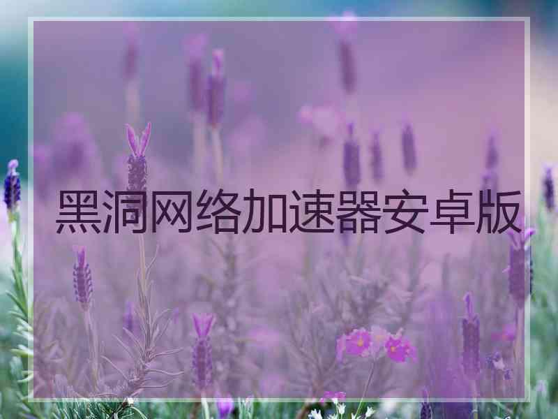 黑洞网络加速器安卓版