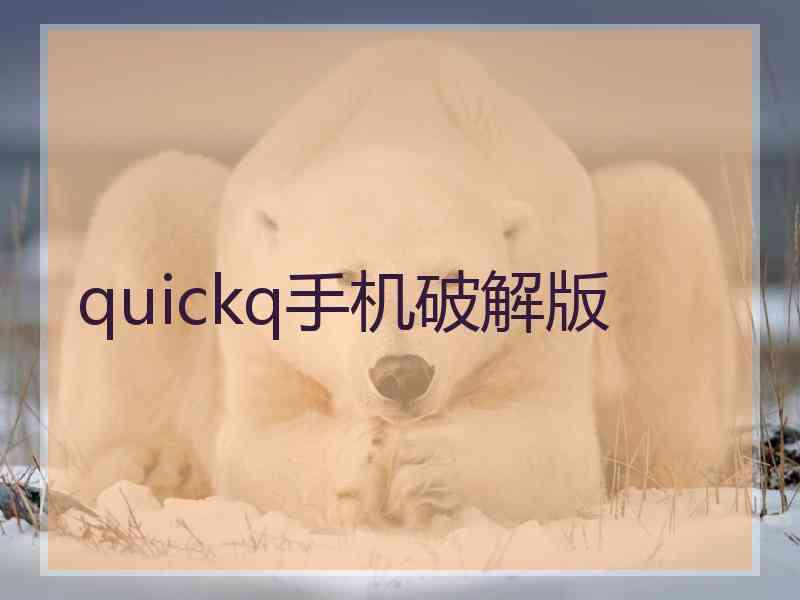 quickq手机破解版