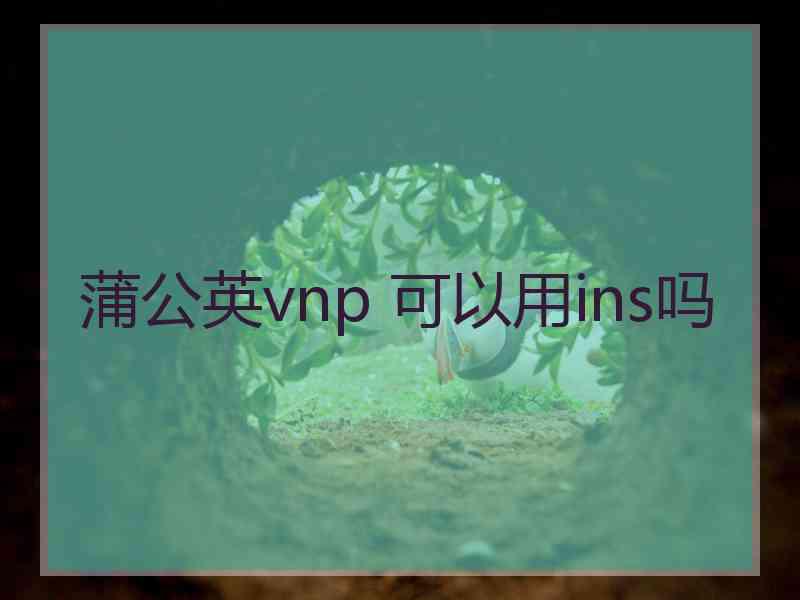 蒲公英vnp 可以用ins吗